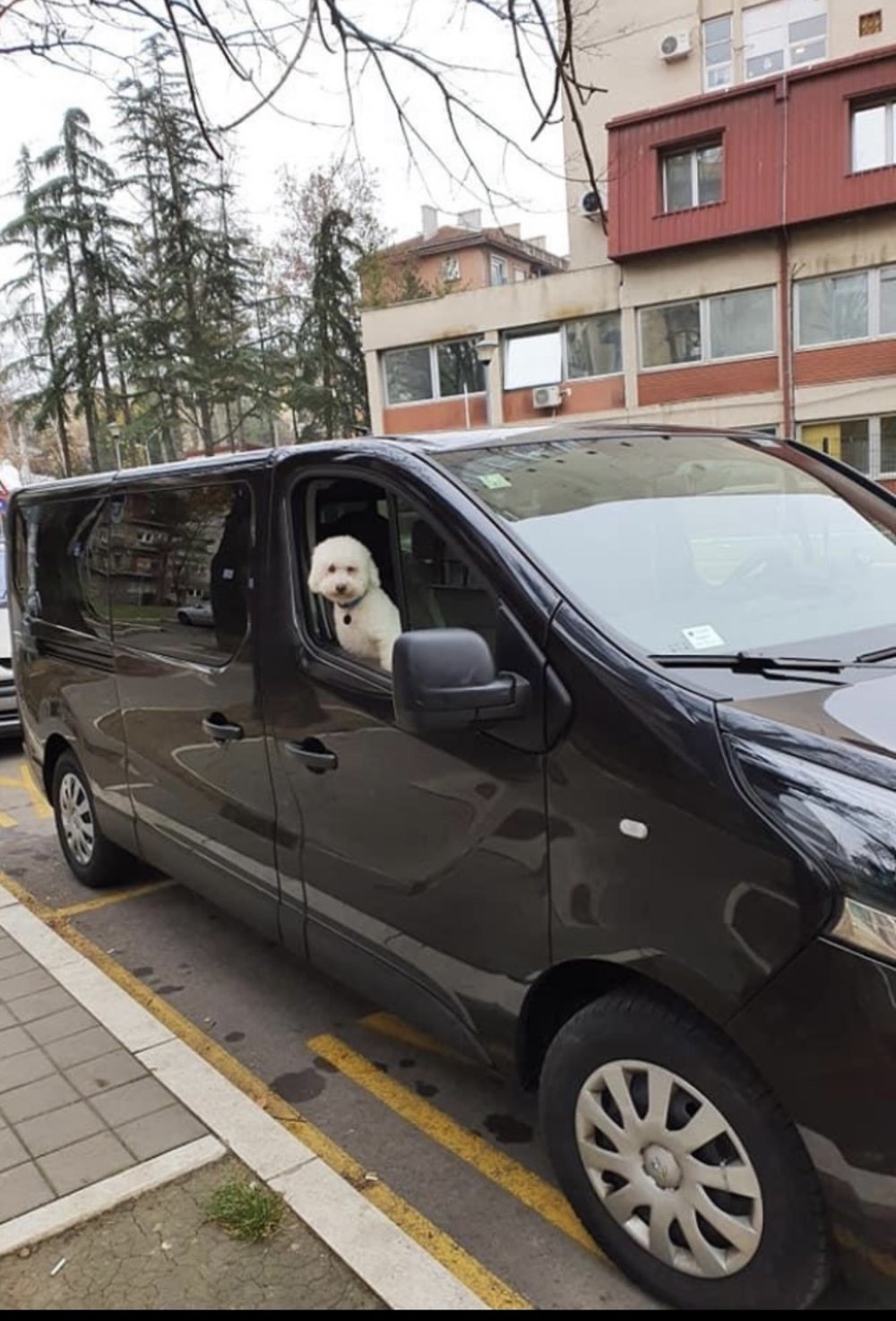 Kombi vozilo Poni Transfer za prevoz putnika Srbija – Nemačka